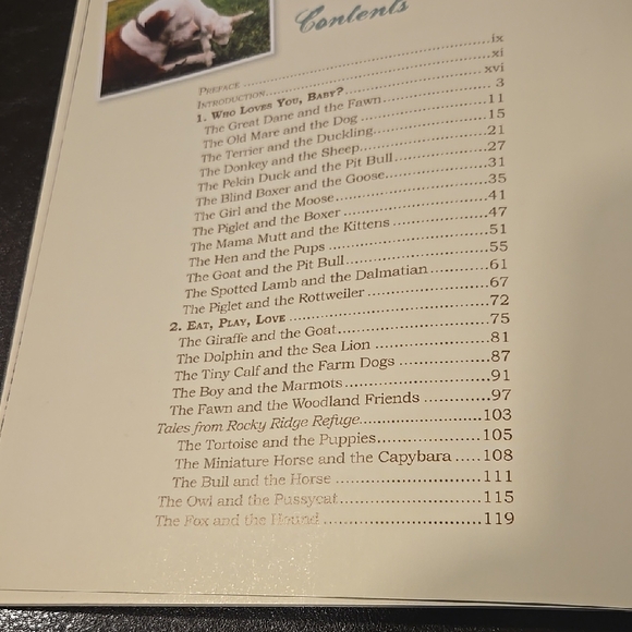 Unlikely Loves by Jennifer S. Holland - Black and Gold Cover - Picture 5 of 6